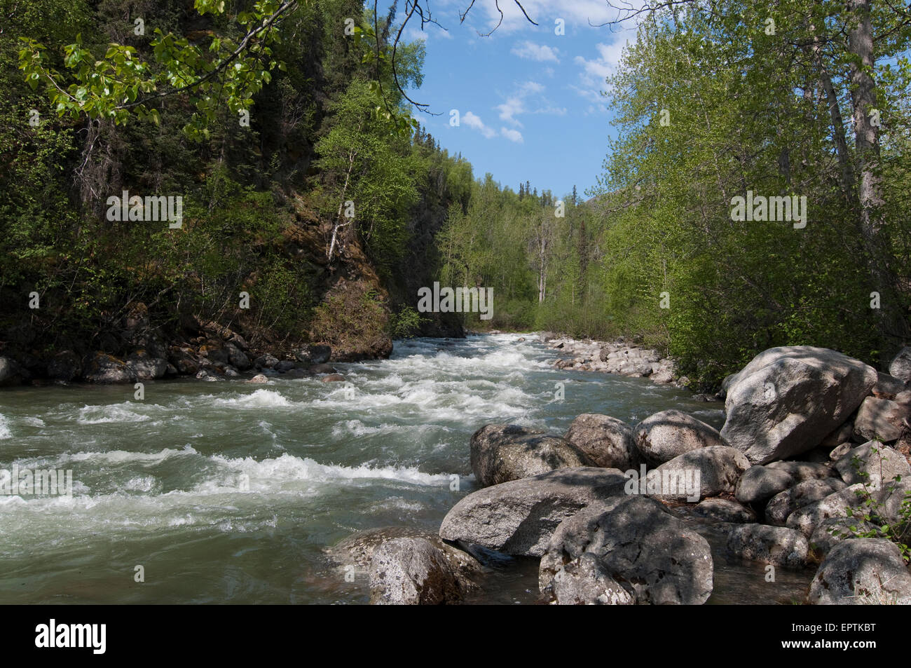 Le petit Sustina River, Alaska Banque D'Images