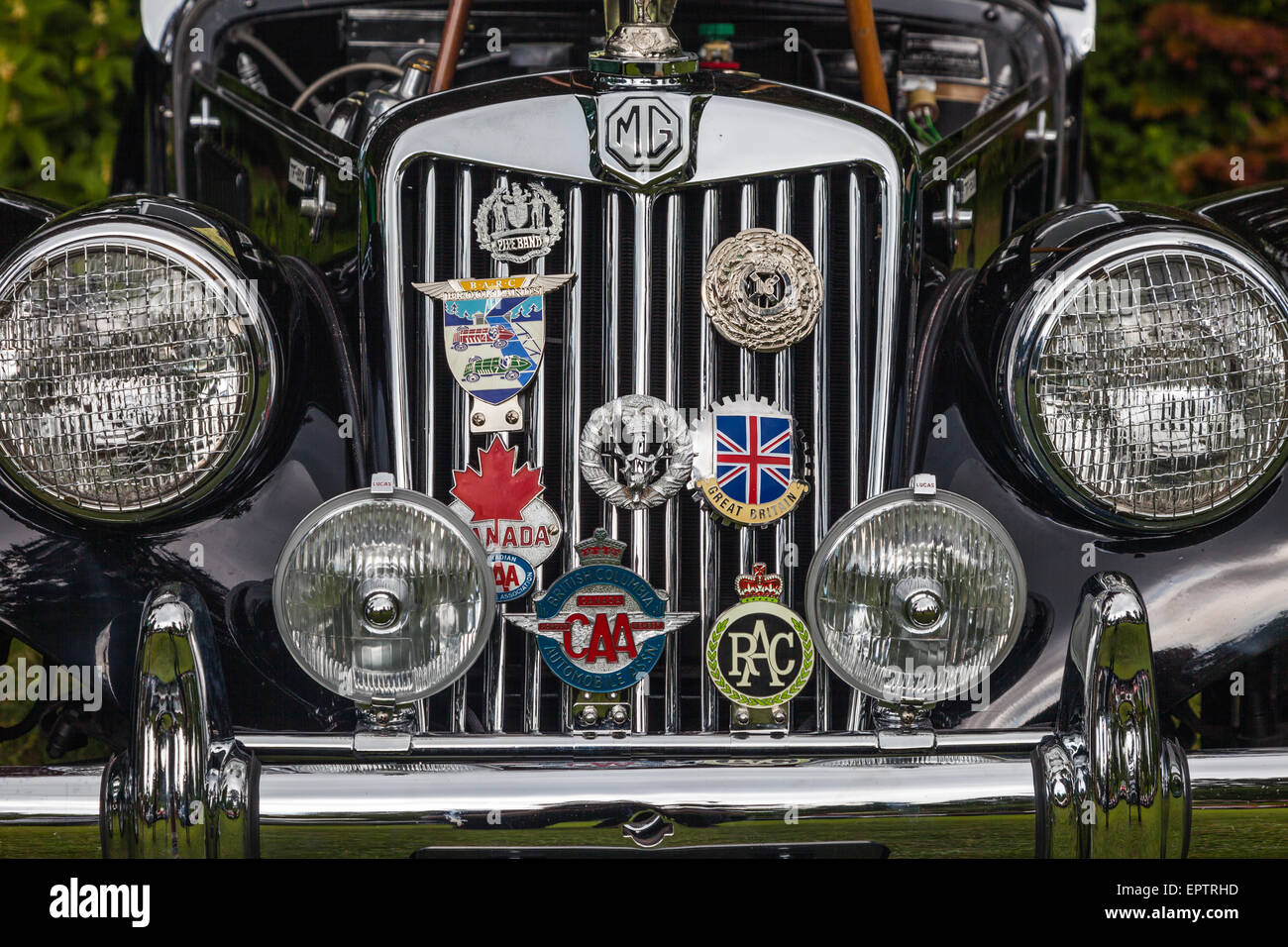 Vue frontale d'un MG Voiture de sport britannique antiques Banque D'Images