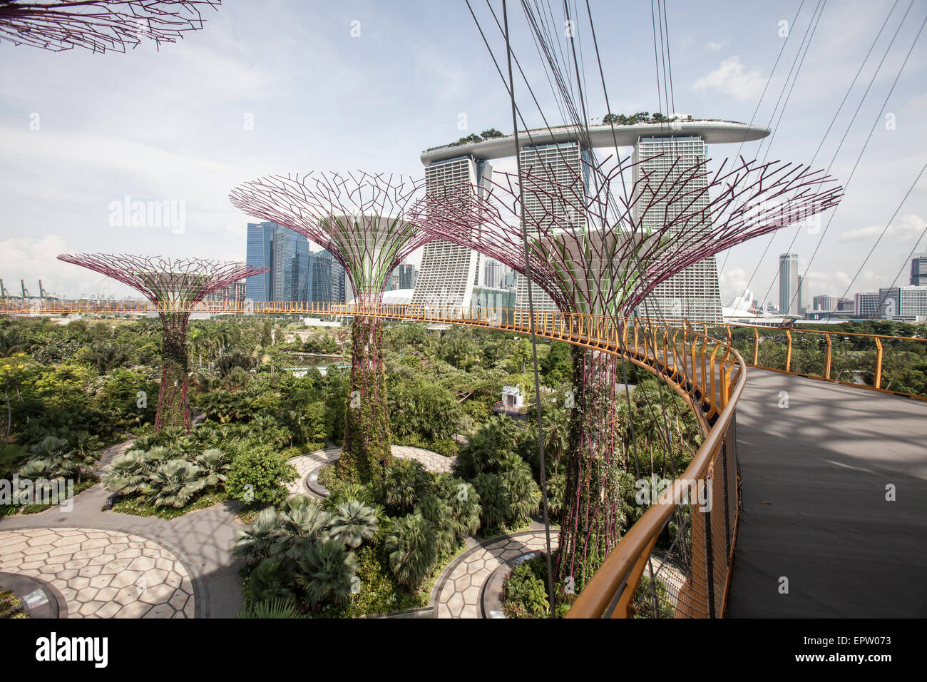 Les gens marchent le long de l'OCBC Skyway dans l'SuperTree Grove à Gardens by the Bay à Singapour Banque D'Images