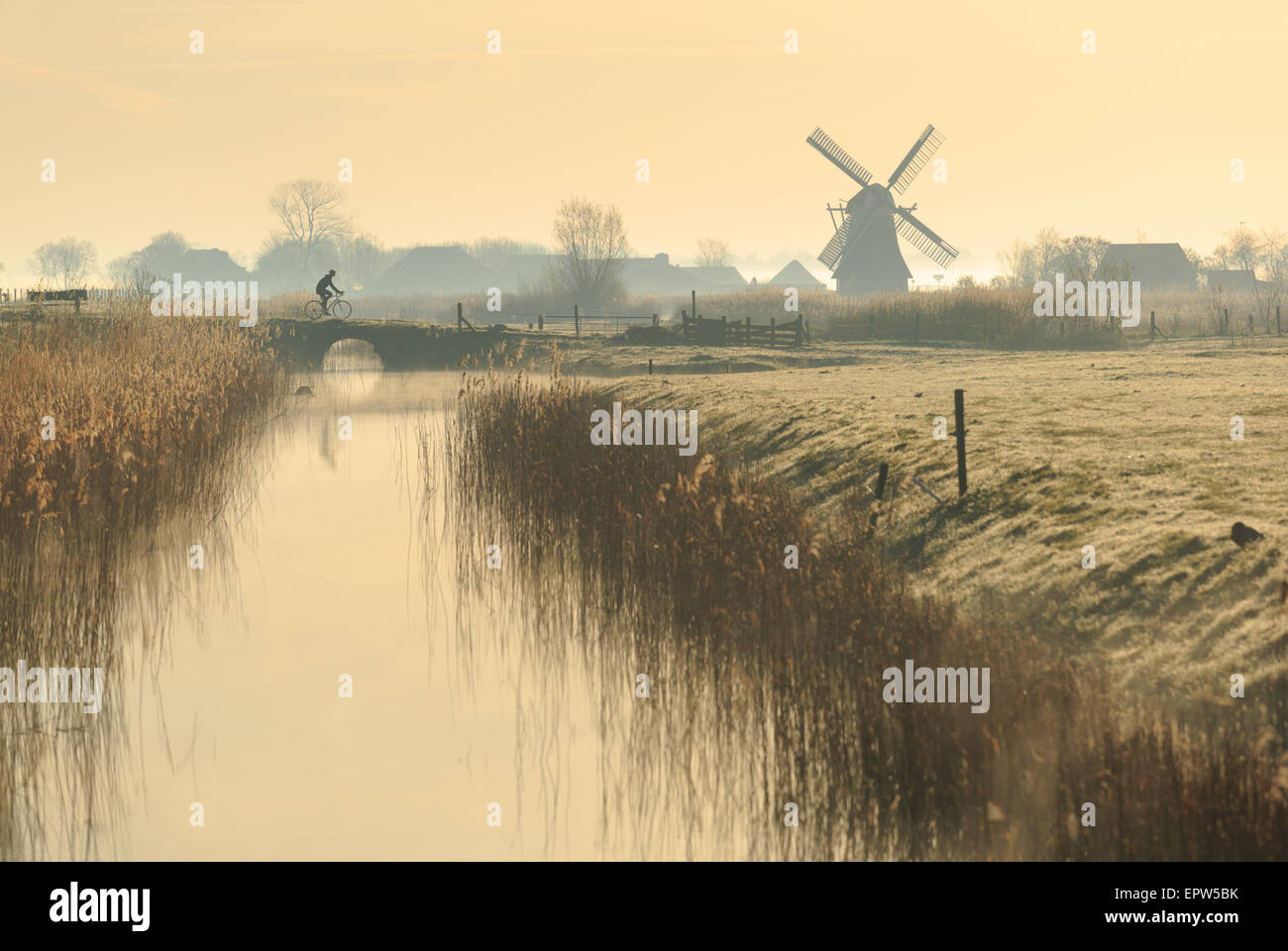 Cycliste de la campagne néerlandaise au cours d'un lever du soleil de printemps, brumeux. Banque D'Images