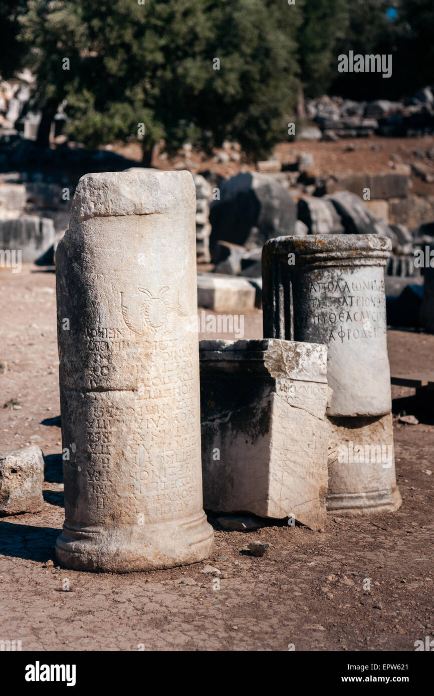 Anciennes colonnes, texte gravé dans la pierre Didyma en Turquie Banque D'Images