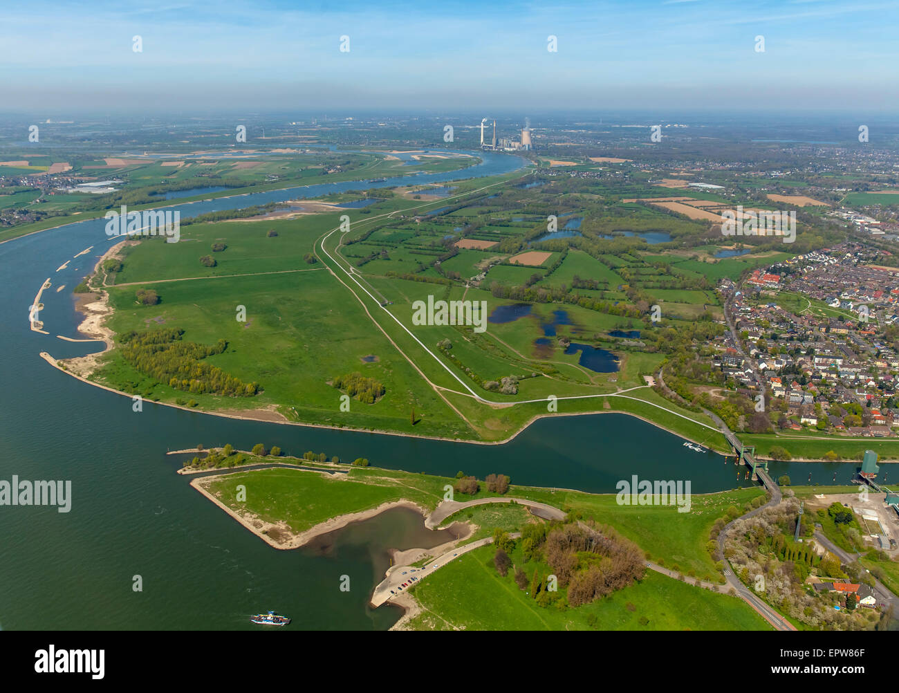 Les zones humides du Rhin Walsum, Duisburg, Ruhr, Rhénanie du Nord-Westphalie, Allemagne Banque D'Images