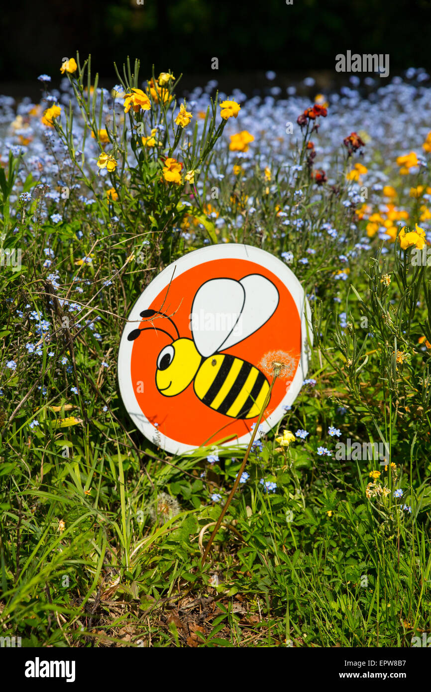 Une zone de fleurs sauvages qui se consacre à aider les abeilles. Banque D'Images