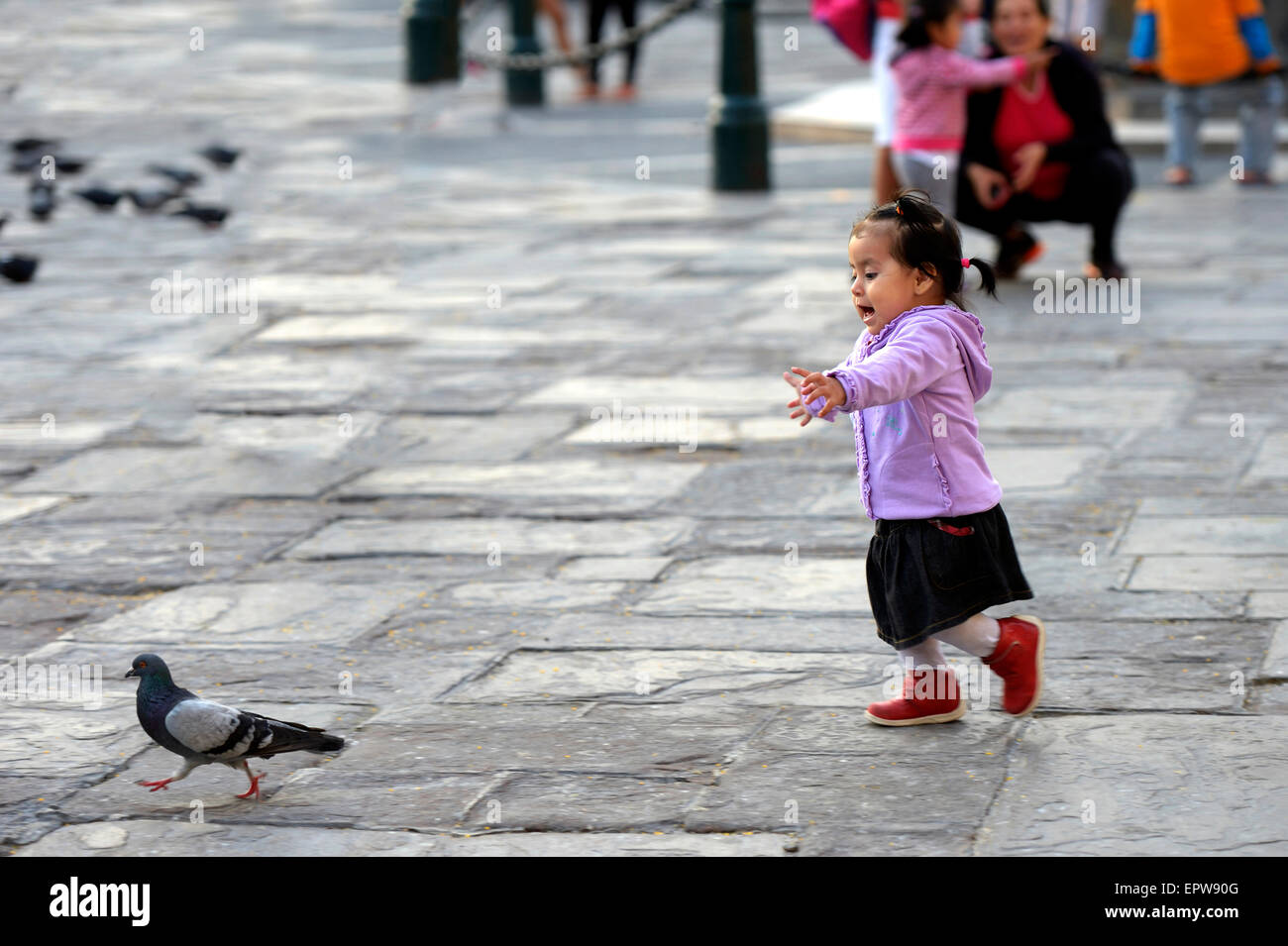 Fille chassant un pigeon sur un carré, Lima, Pérou Banque D'Images