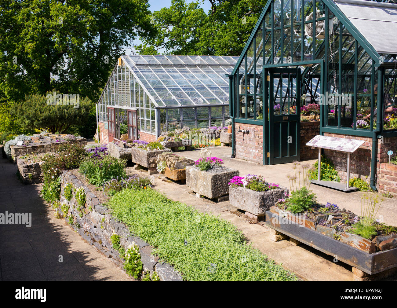 RHS Wisley Gardens Maison Alpine en pleine floraison. Surrey, UK Banque D'Images
