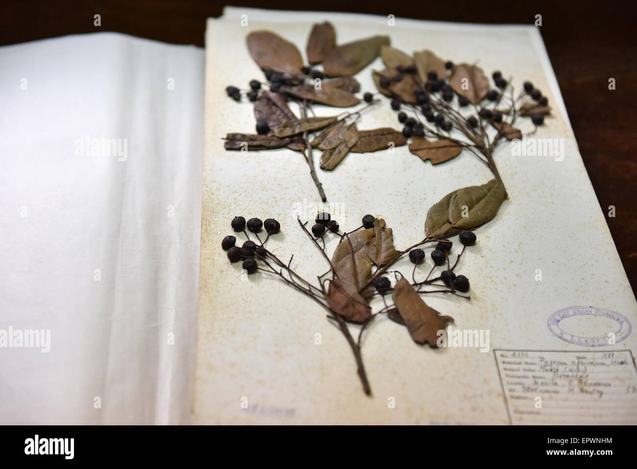 (150522) NAIROBI, 22 mai 2015 (Xinhua) Photo prise le 21 mai 2015