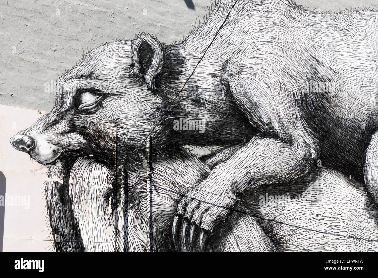 L'art urbain dans la région de Rochester, NY USA Banque D'Images