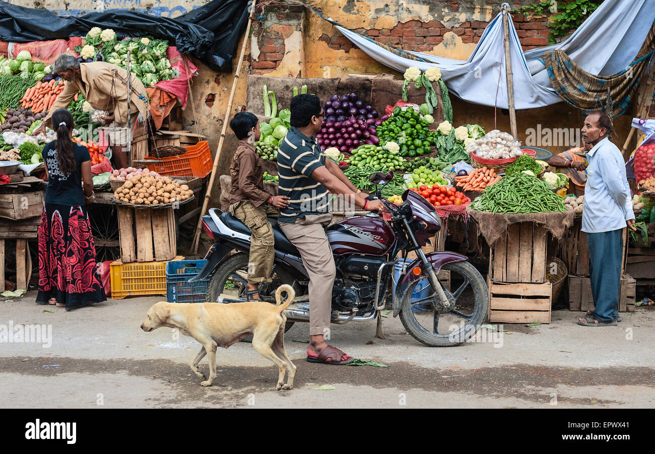 Des légumes pour la vente par les vendeurs de rue et les acheteurs sur une moto avec un chien errant traînent dans les rues. Banque D'Images