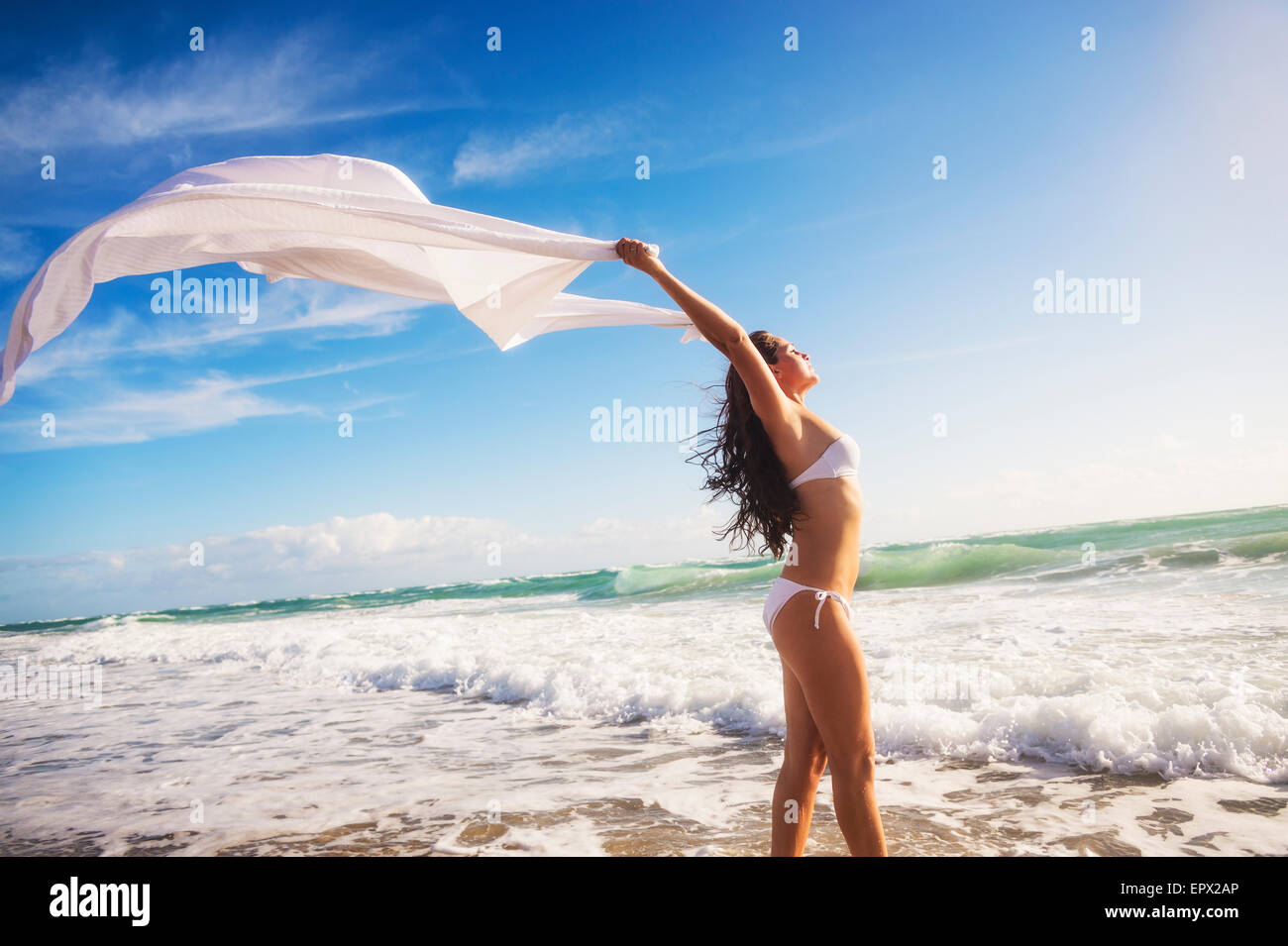 Línea de bikini Banque de photographies et d’images à haute résolution