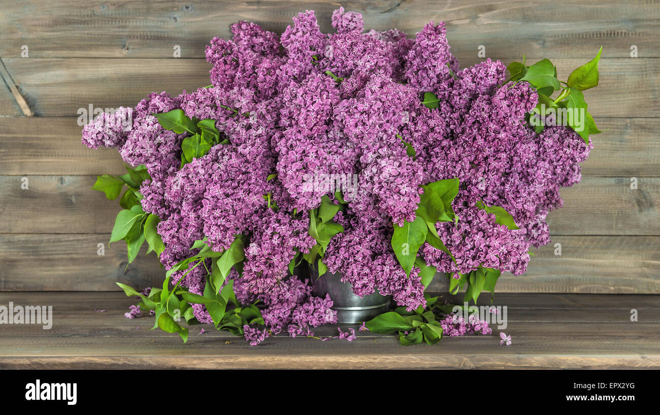 Bouquet de lilas fleurs sur fond de bois. Retro style tonique photo Banque D'Images