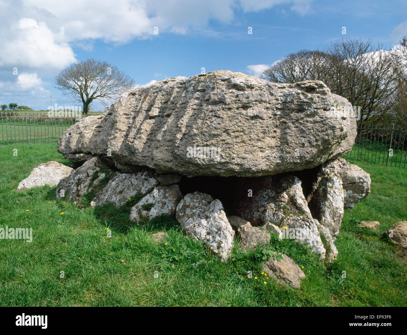 Lligwy neollithic chambre funéraire, Llangefni, Anglesey, au nord du Pays de Galles, Royaume-Uni Banque D'Images