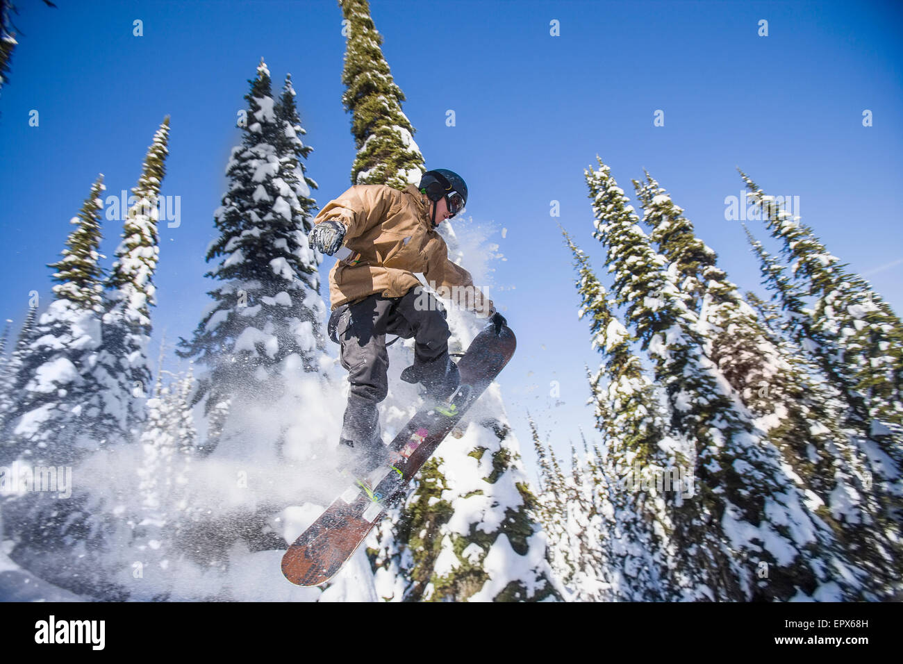 USA, Montana, Whitefish, Snowboarder dans l'air contre les arbres enneigés Banque D'Images