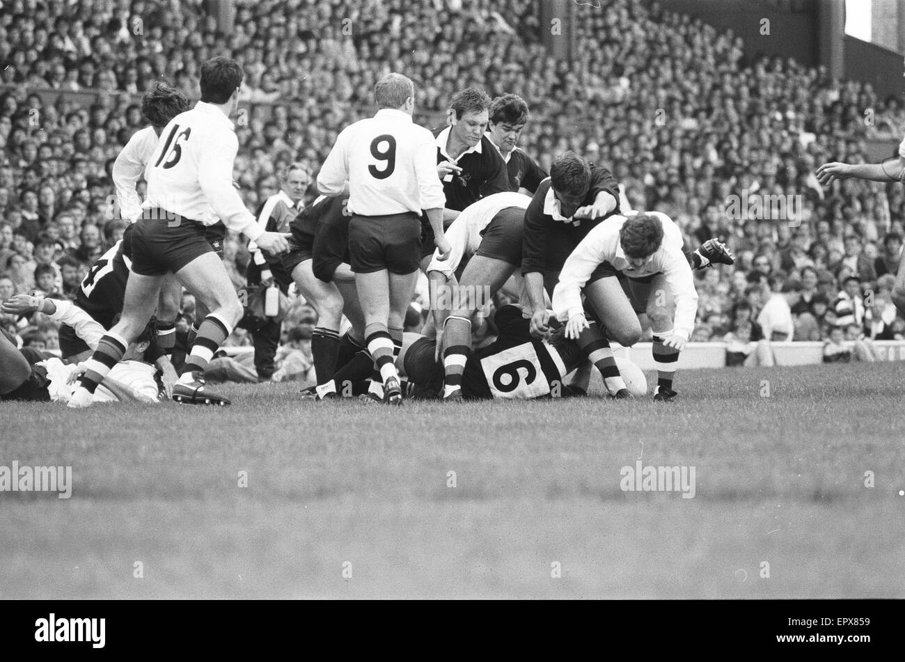 London Wasps v baignoire, John Player Special Cup Final, match à Twickenham, samedi 2 mai 1987. Score final : 12-19 London Wasps Bath. Banque D'Images