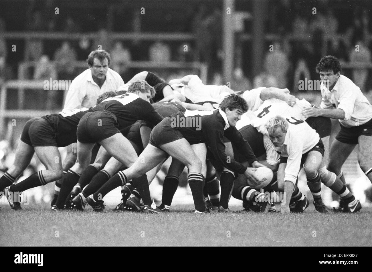 London Wasps v baignoire, John Player Special Cup Final, match à Twickenham, samedi 2 mai 1987. Score final : 12-19 London Wasps Bath. Banque D'Images