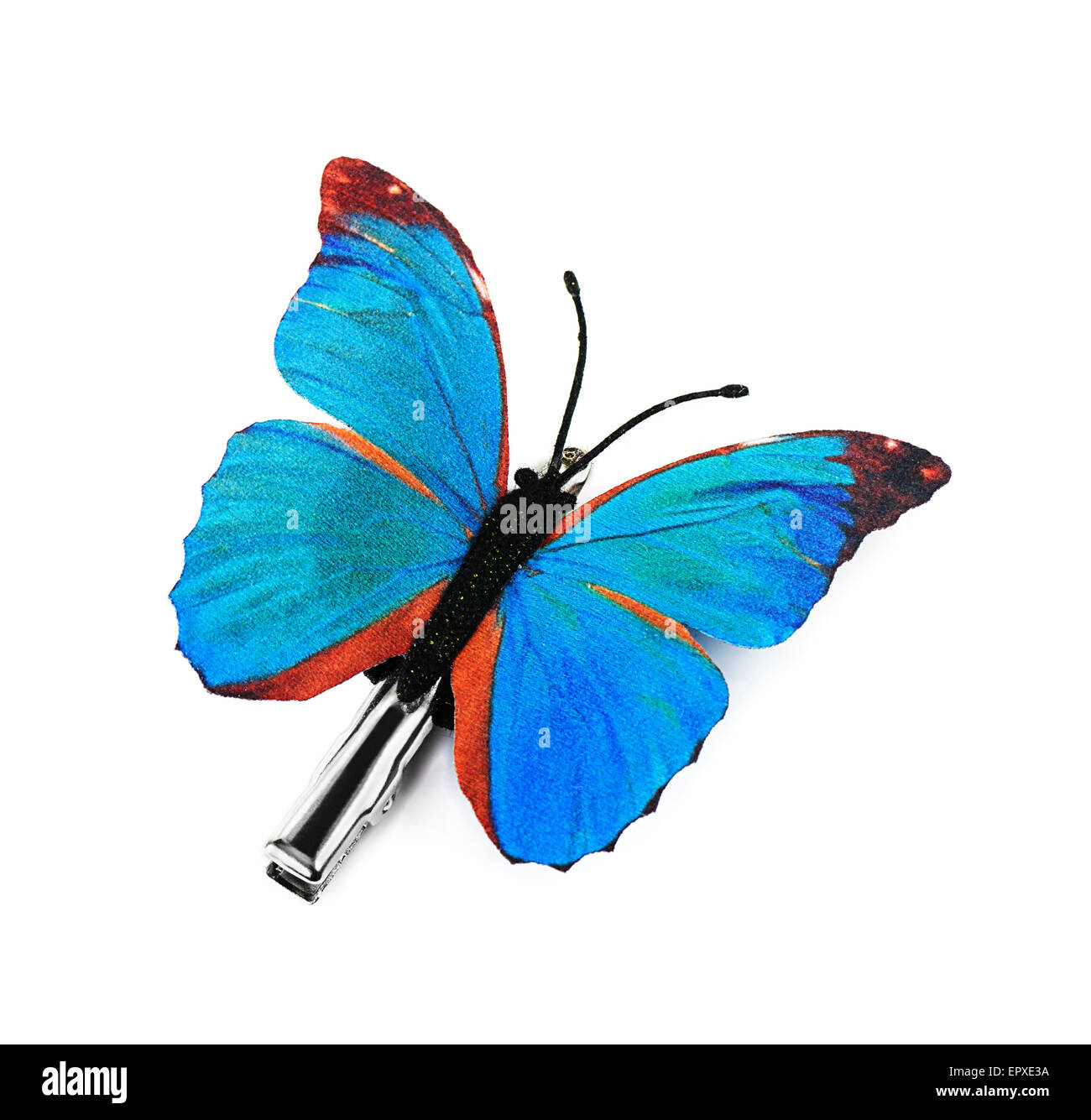 Barrette papillon sur fond blanc Banque D'Images