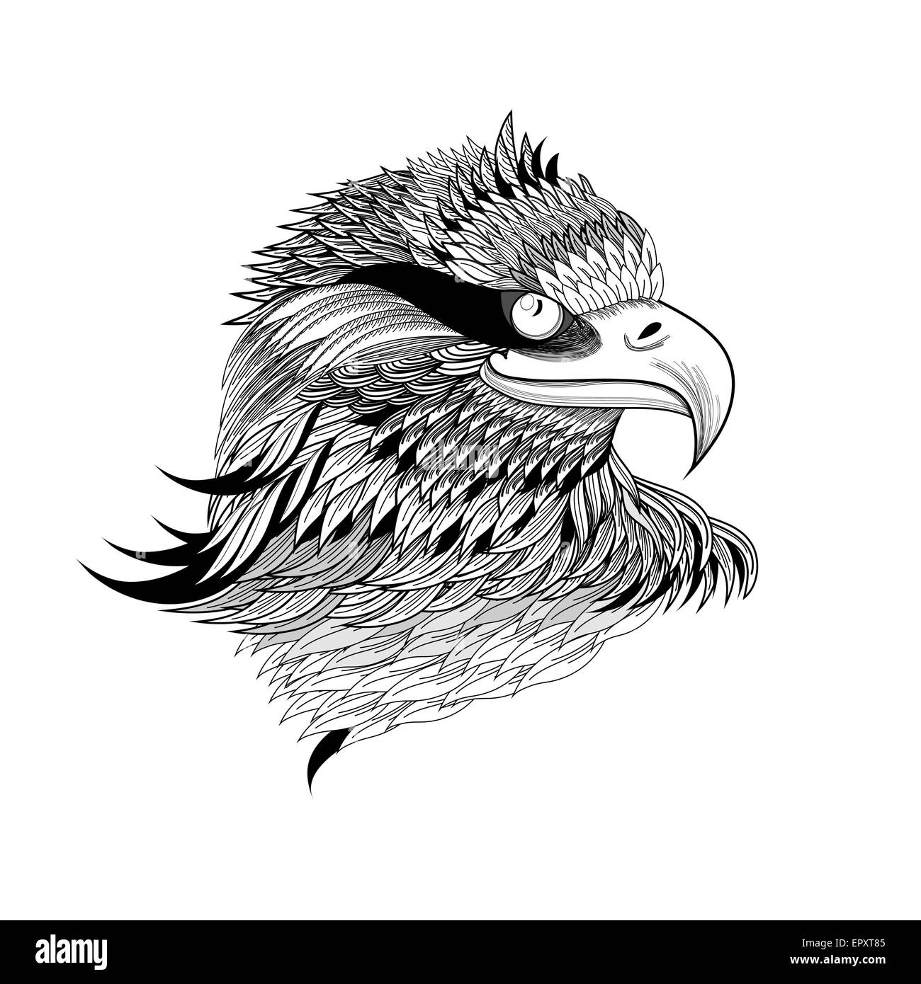 Une belle tête d'aigle graphique isolé sur fond blanc Illustration de Vecteur