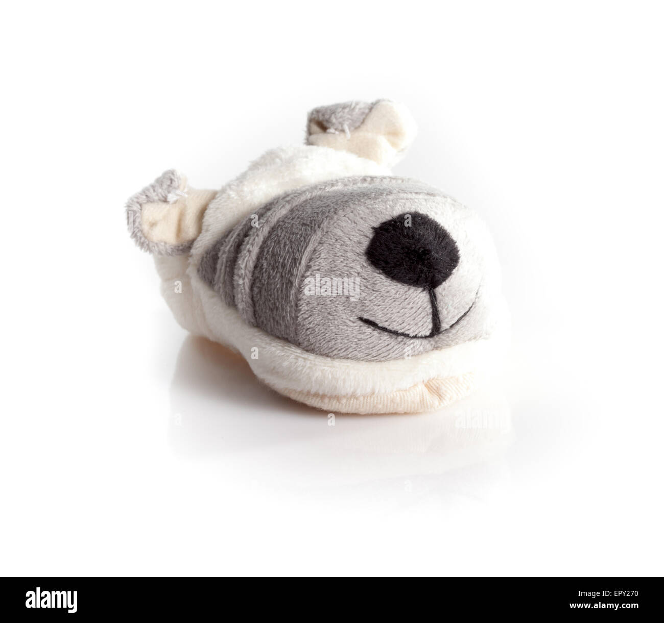Doggy humoristique bébé isolé sur fond blanc Banque D'Images