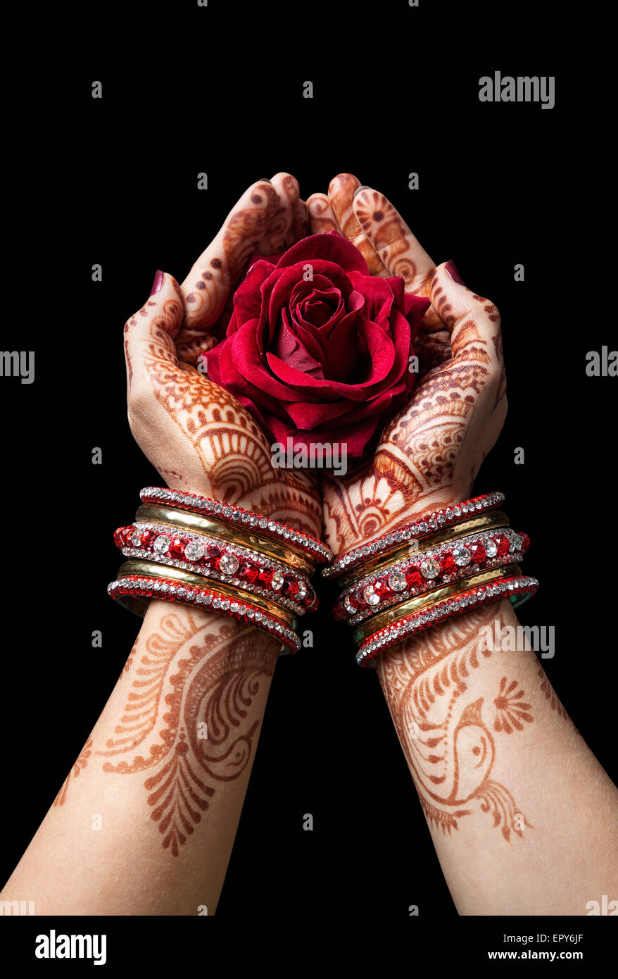 Les mains de henné holding femme rose rouge isolé sur fond noir avec le chemin de détourage Banque D'Images