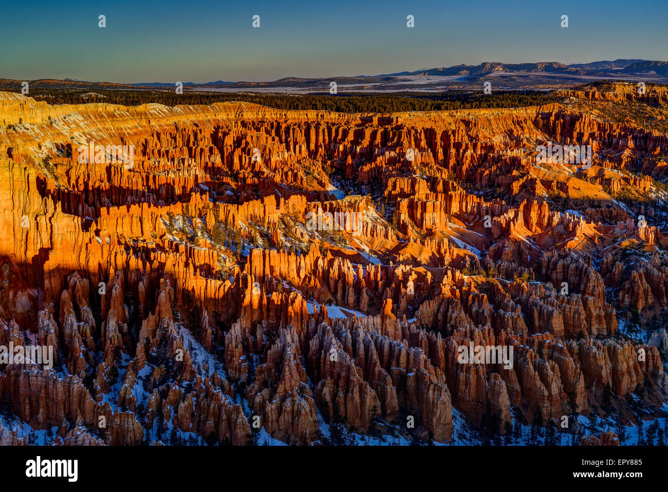 L'aube à Bryce Point, Bryce canyon Banque D'Images