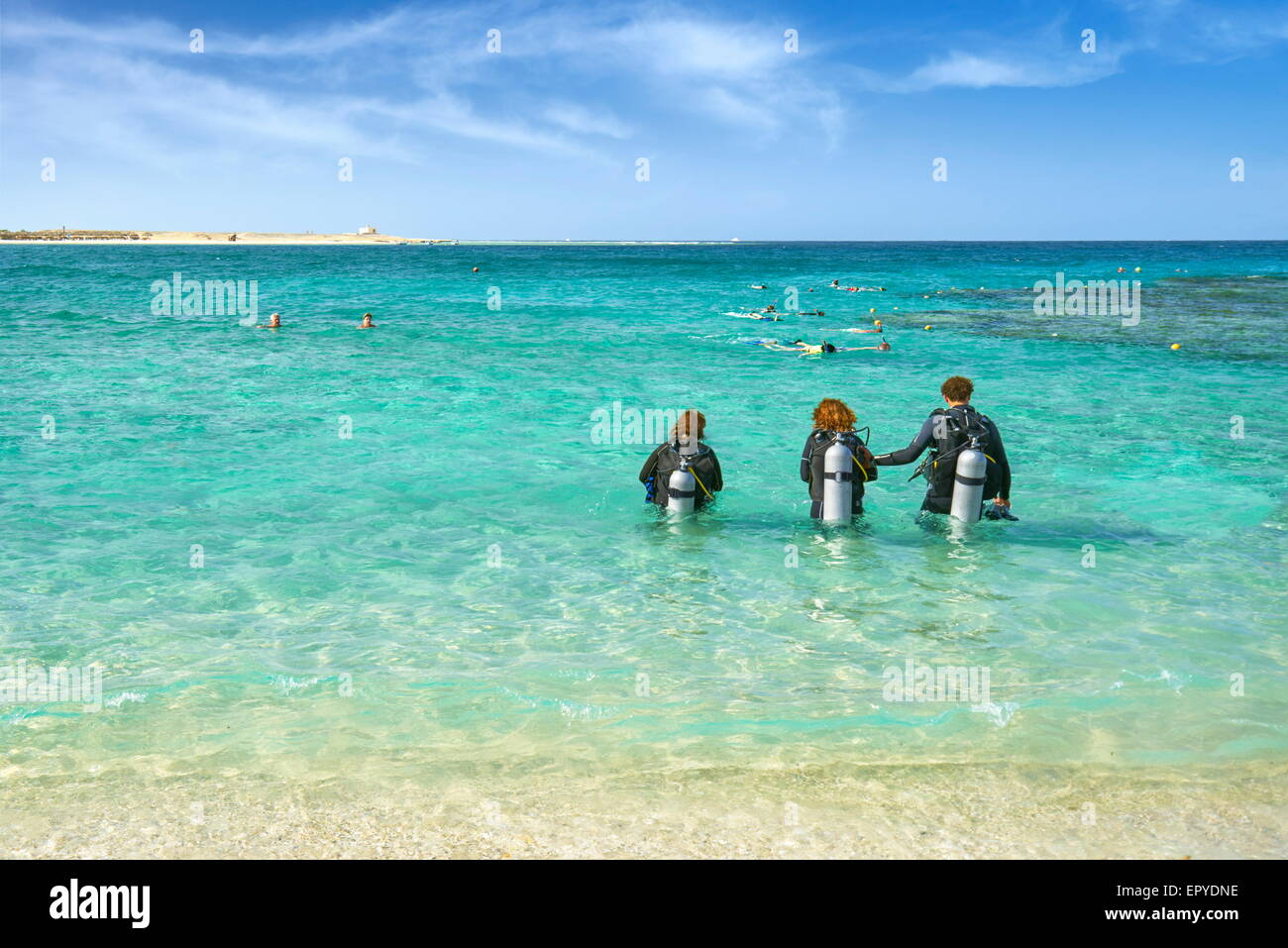 Marsa Alam, plongeurs dans la baie d'Abu Dabbab, Red Sea, Egypt Banque D'Images