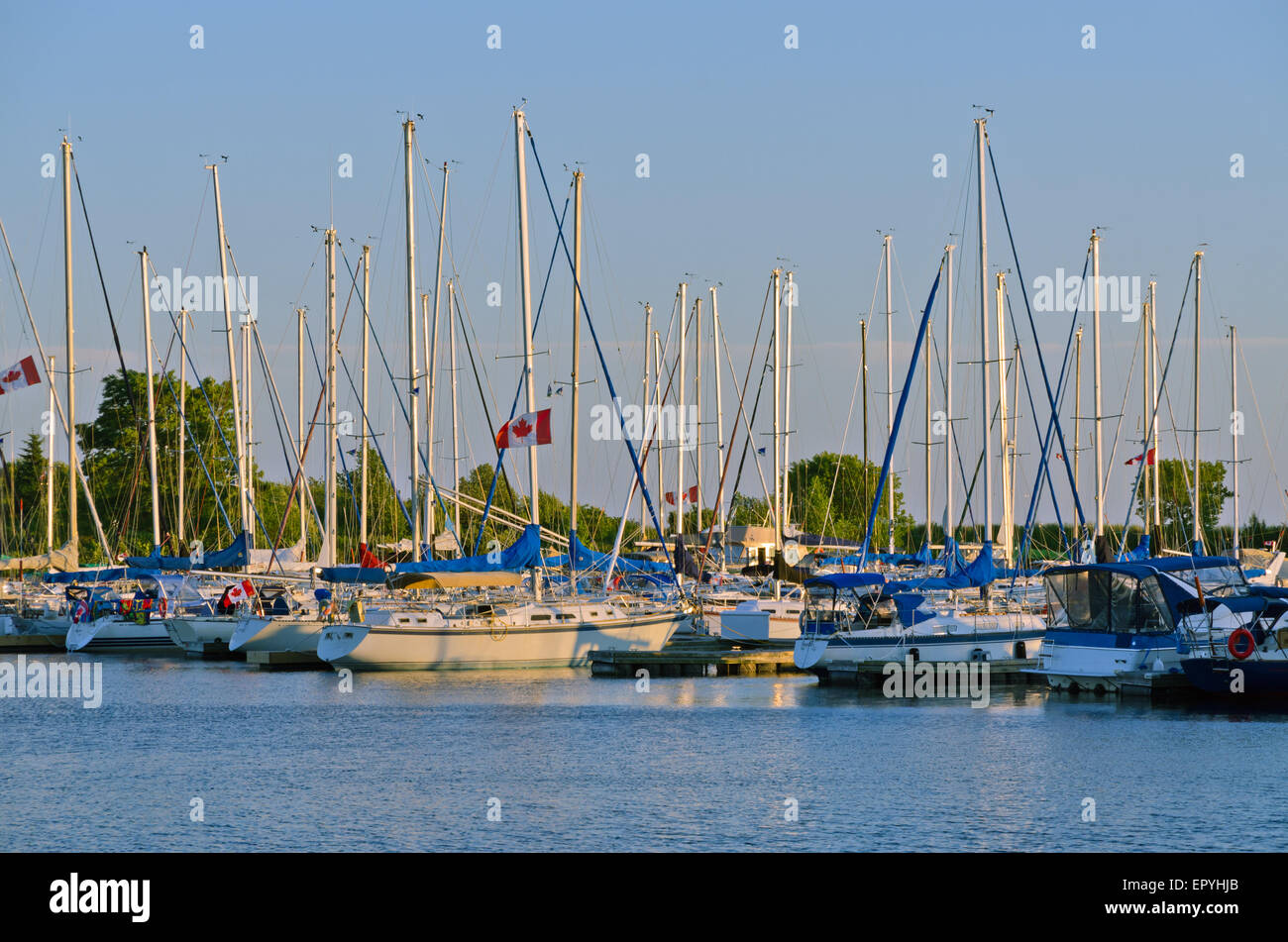 Yachts et bateaux à Toronto avant l'eau Banque D'Images