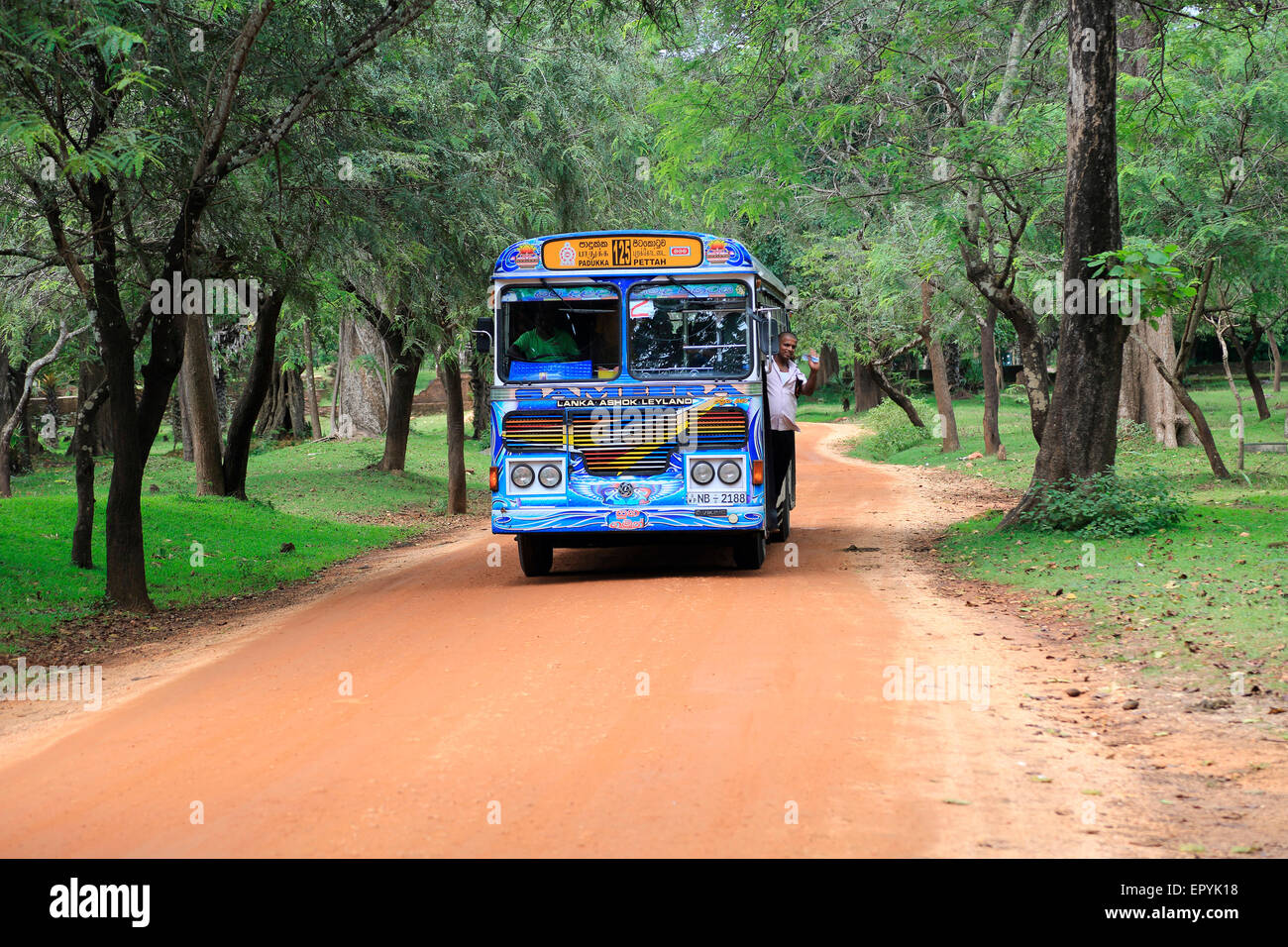 Lanka colorés Ashok Leyland Bus, Polonnaruwa, Sri Lanka, Asie, Banque D'Images