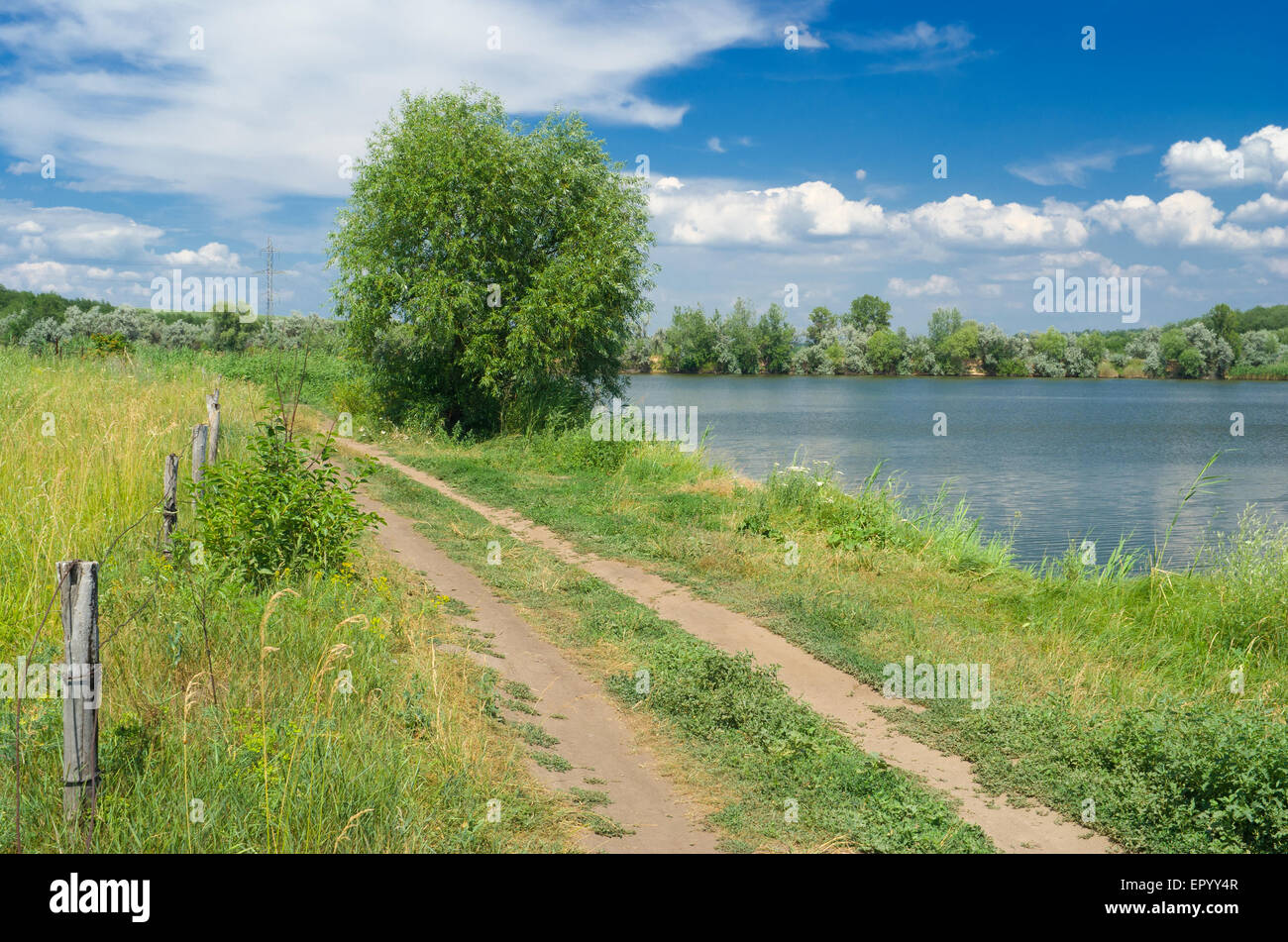 Ukranian paysage estival - endroit paisible à côté du lac bleu. Banque D'Images