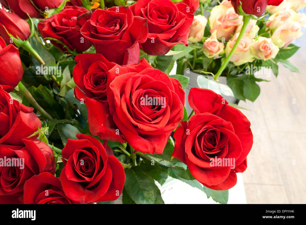 Un bouquet de roses rouges Banque D'Images