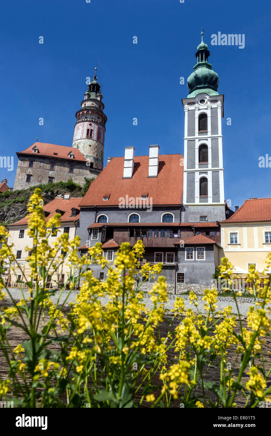 Cesky Krumlov, Riverside, le colza, fleurs, République Tchèque Banque D'Images