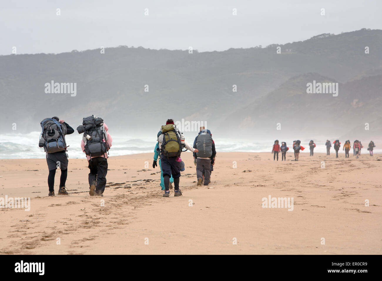 Bushwalkers le long de la Great Ocean Walk à Victoria, en Australie. Banque D'Images