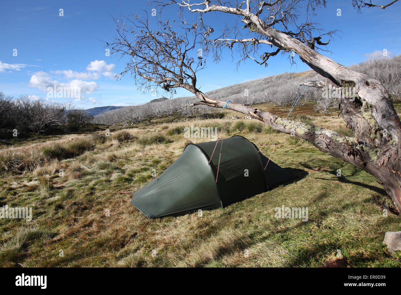 Camping dans les Alpes victoriennes, de l'Australie. Banque D'Images