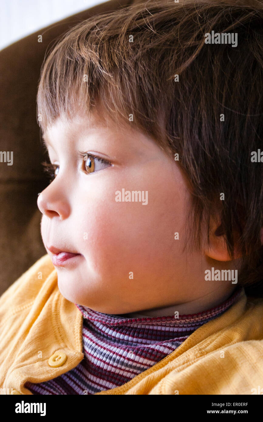 Vue latérale gros plan, tête et épaule, jeune enfant, garçon, 3-4 ans, assis sur un canapé marron et regardant droit devant avec une expression concentrée. Banque D'Images