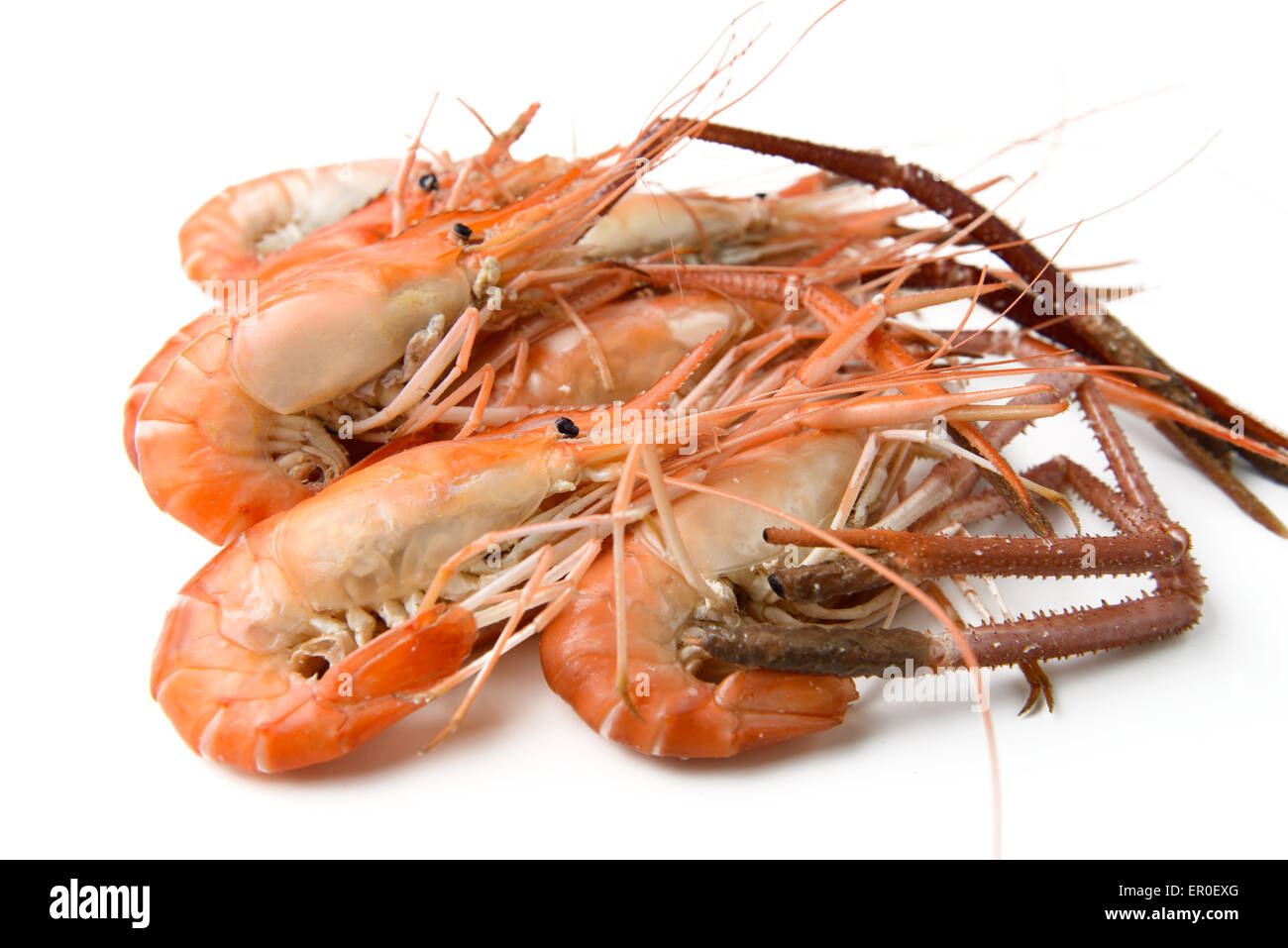 Crevettes bouillies river isolated on white Banque D'Images