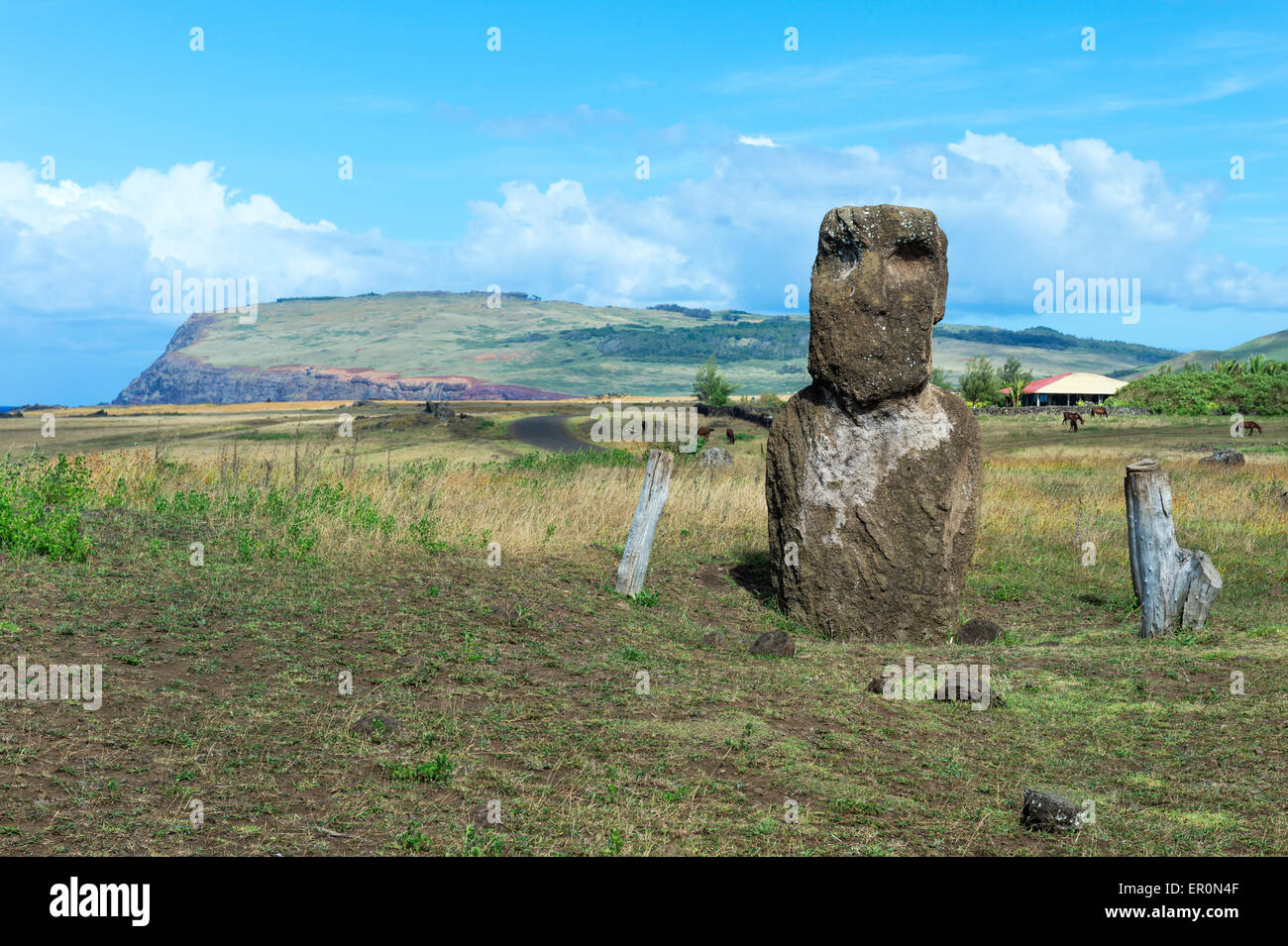 Vaihu Moai, parc national de Rapa Nui, l'île de Pâques, Chili, Site du patrimoine mondial de l'UNESCO Banque D'Images