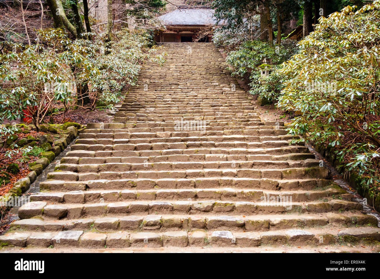 Un long et large vol de marches de pierre, appelé Yoroizaku, menant à travers les rhododendrons jusqu'à la période Heian Kondo Hall au temple Murou-ji, Japon. Banque D'Images