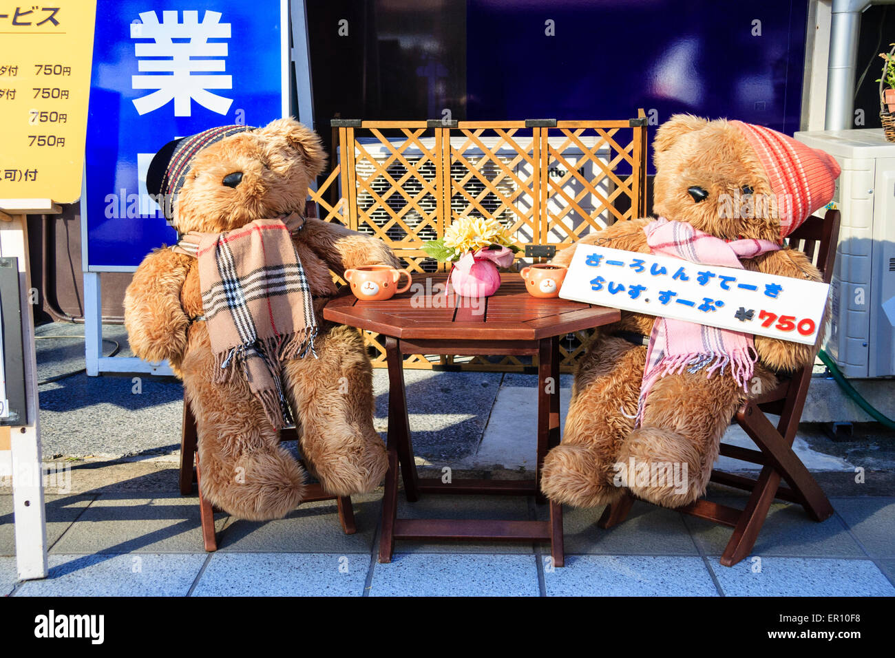 ours teddy cache cache