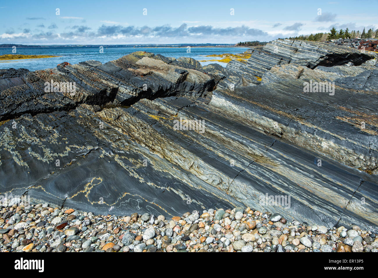 Image de la roche sédimentaire côtière dans Blue Rocks, Nouvelle-Écosse Banque D'Images
