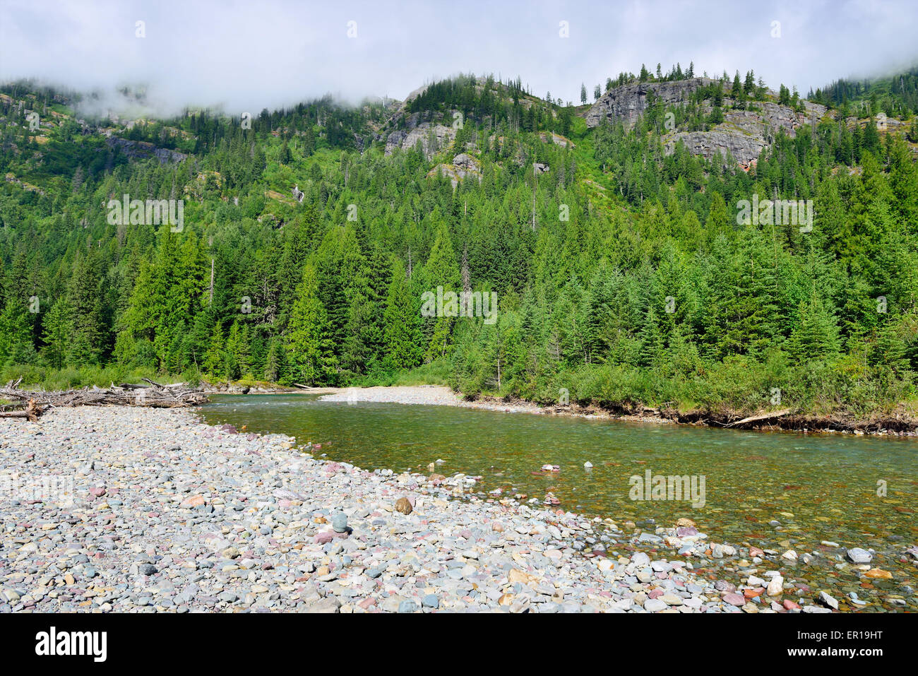 Rivière de montagne dans le Glacier National Park, Montana en été Banque D'Images