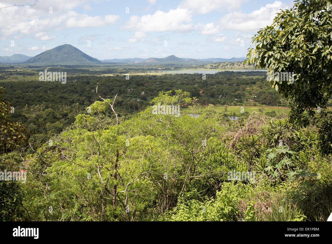 Vue paysage sur campagne de Dambulla, Sri Lanka, Asie Banque D'Images