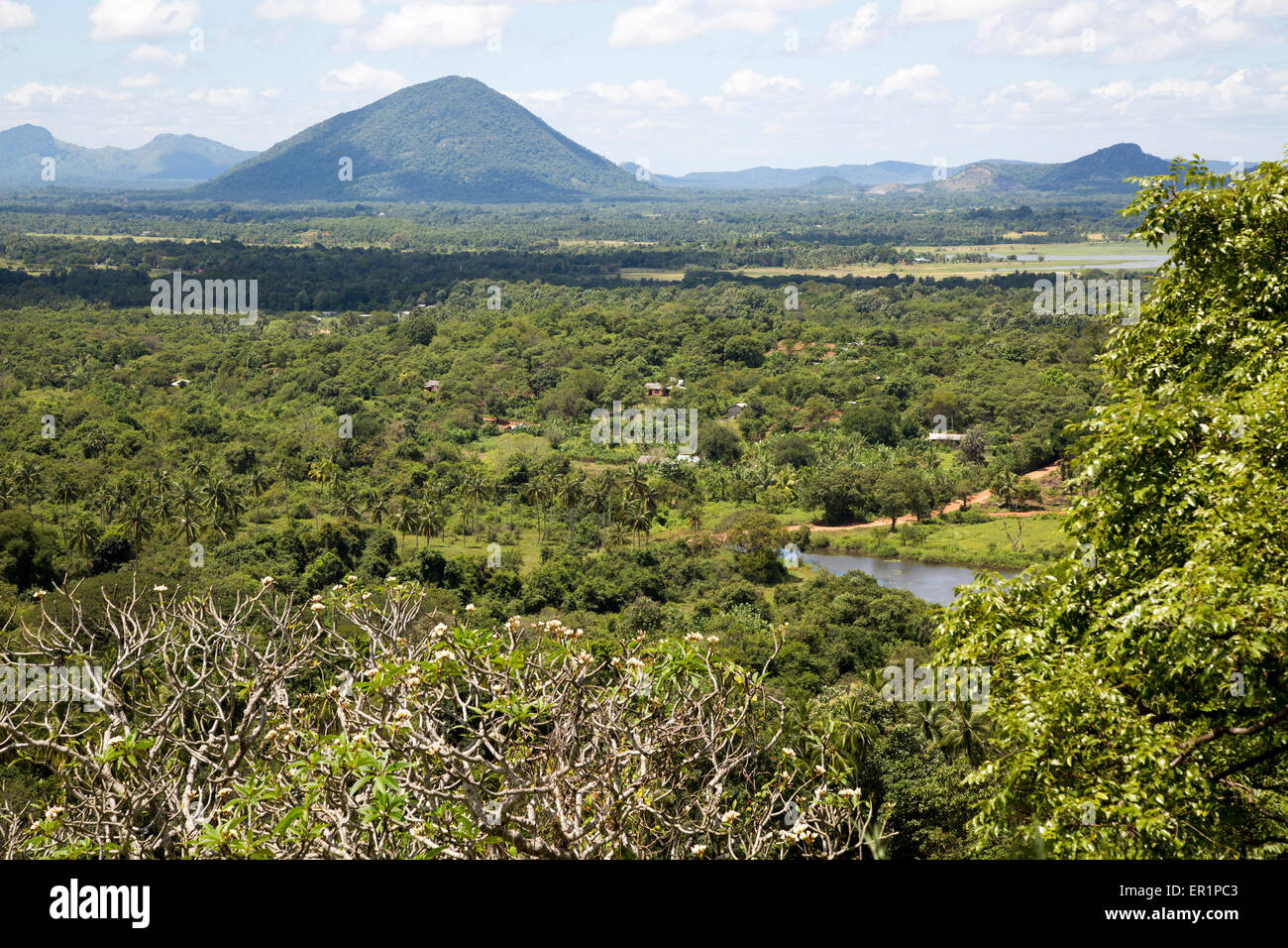 Vue paysage sur campagne de Dambulla, Sri Lanka, Asie Banque D'Images