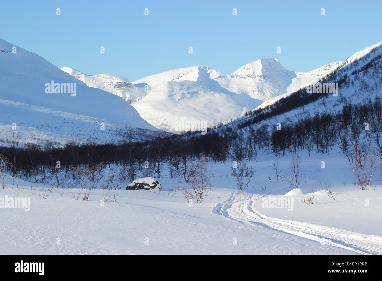 Montagnes couvertes de neige et d'arbres, Dapmotjavri, Norvège Banque D'Images