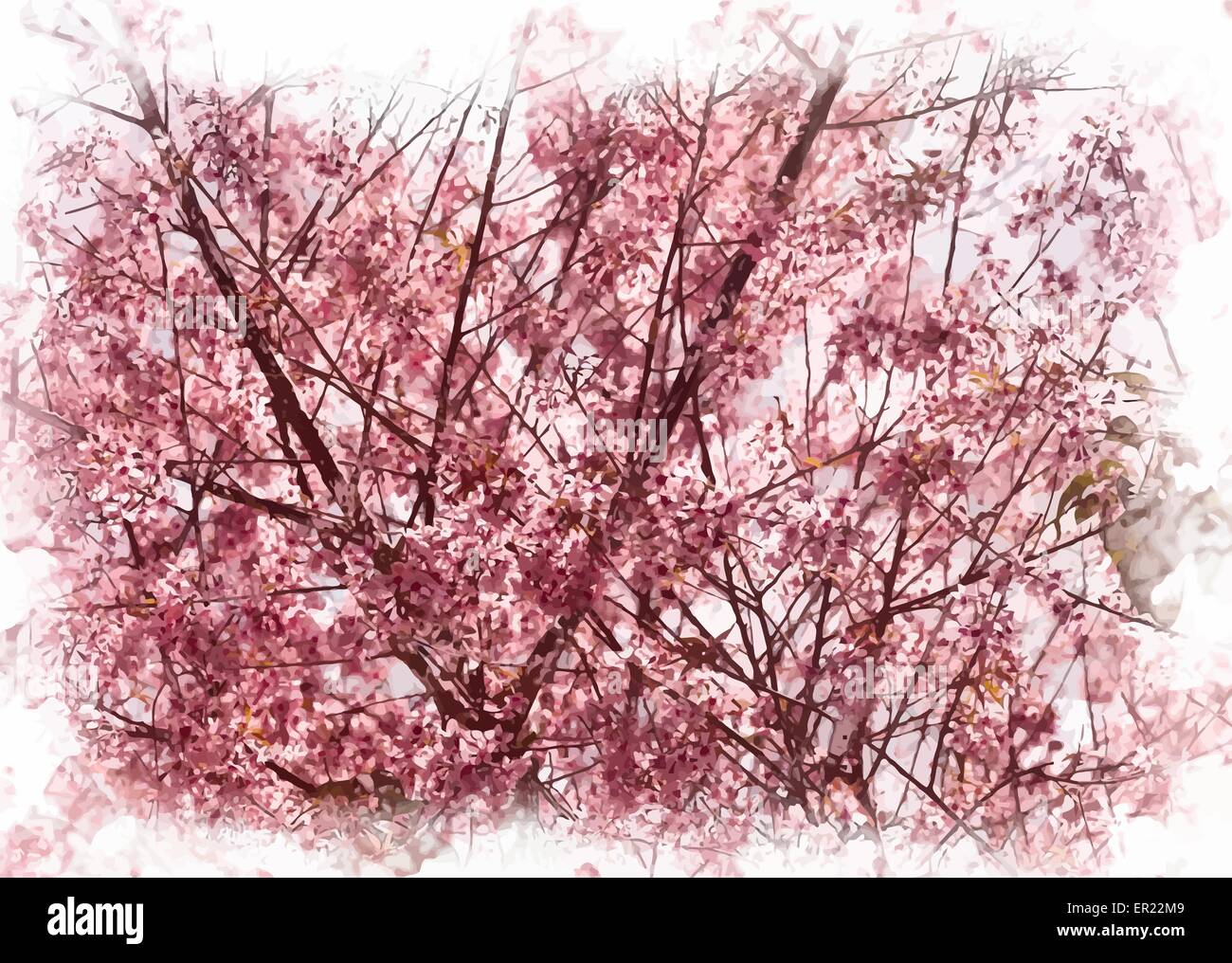 L'abricotier en fleurs Illustration de Vecteur