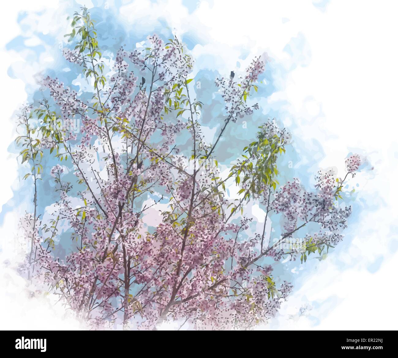 L'abricotier en fleurs Illustration de Vecteur