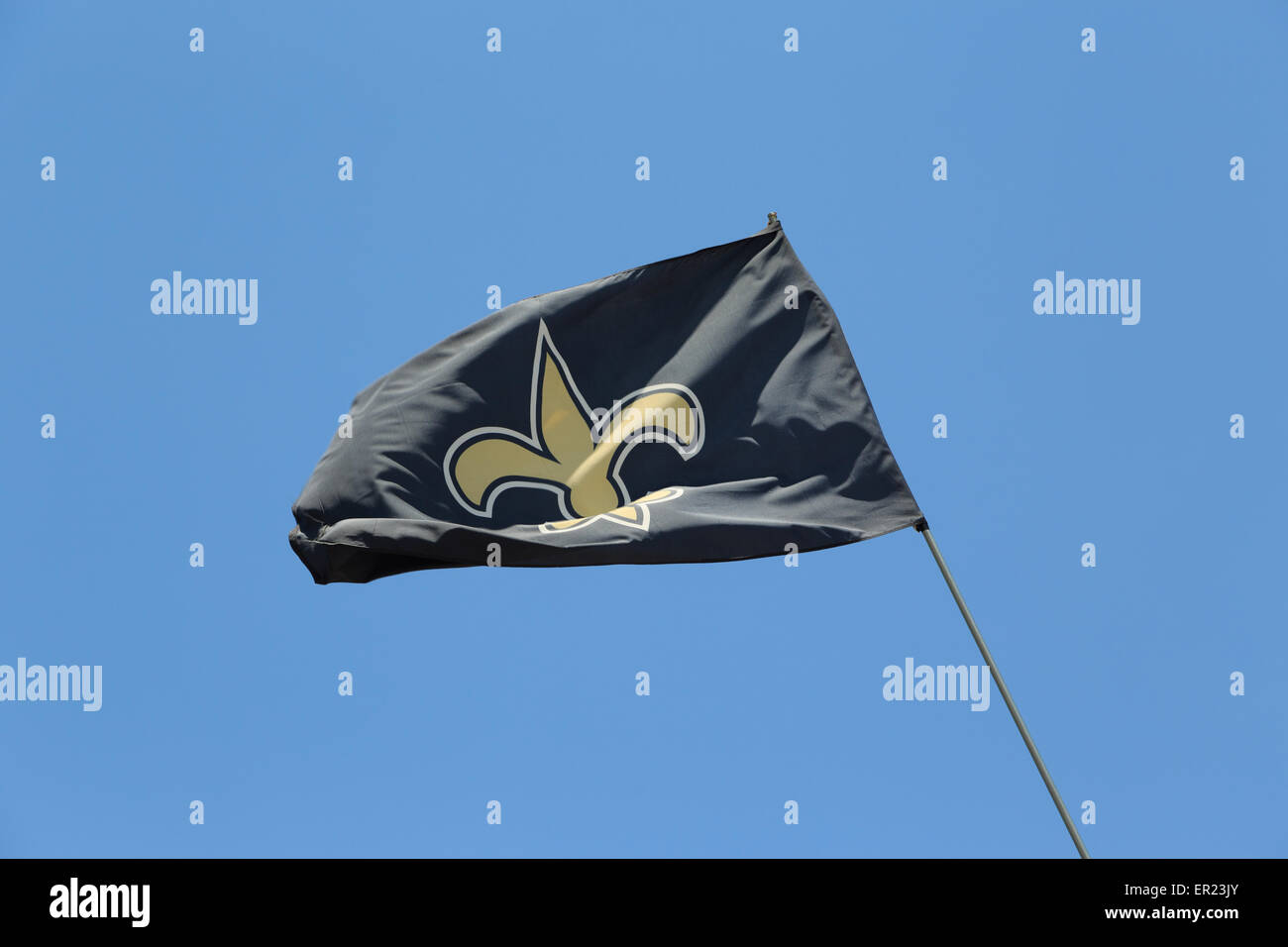 Une photographie d'un drapeau affichant l'emblème de la Nouvelle