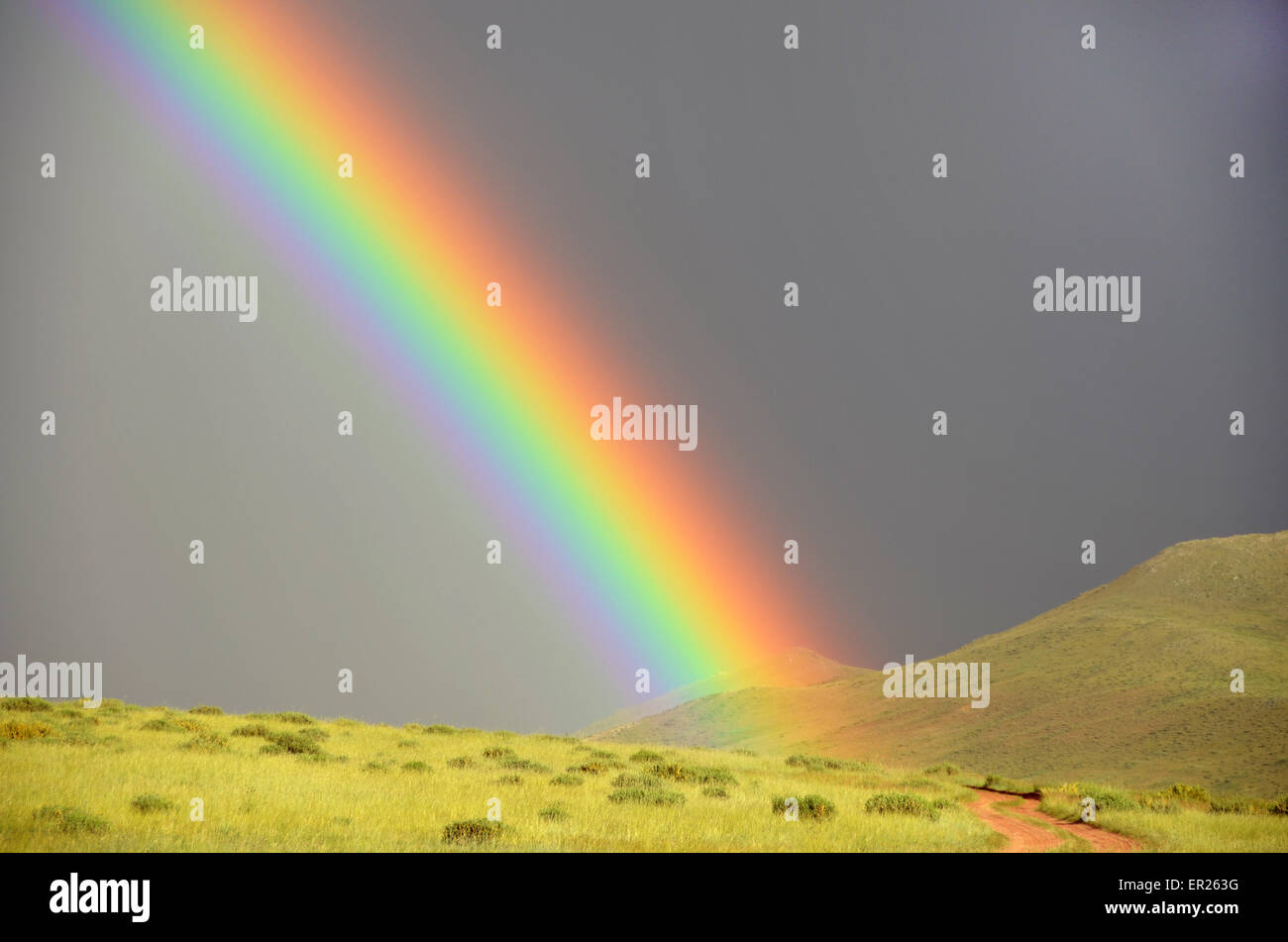 La steppe sous un ciel d'orage avec un arc-en-ciel dans l'Arkhangay province, Mongolie Banque D'Images