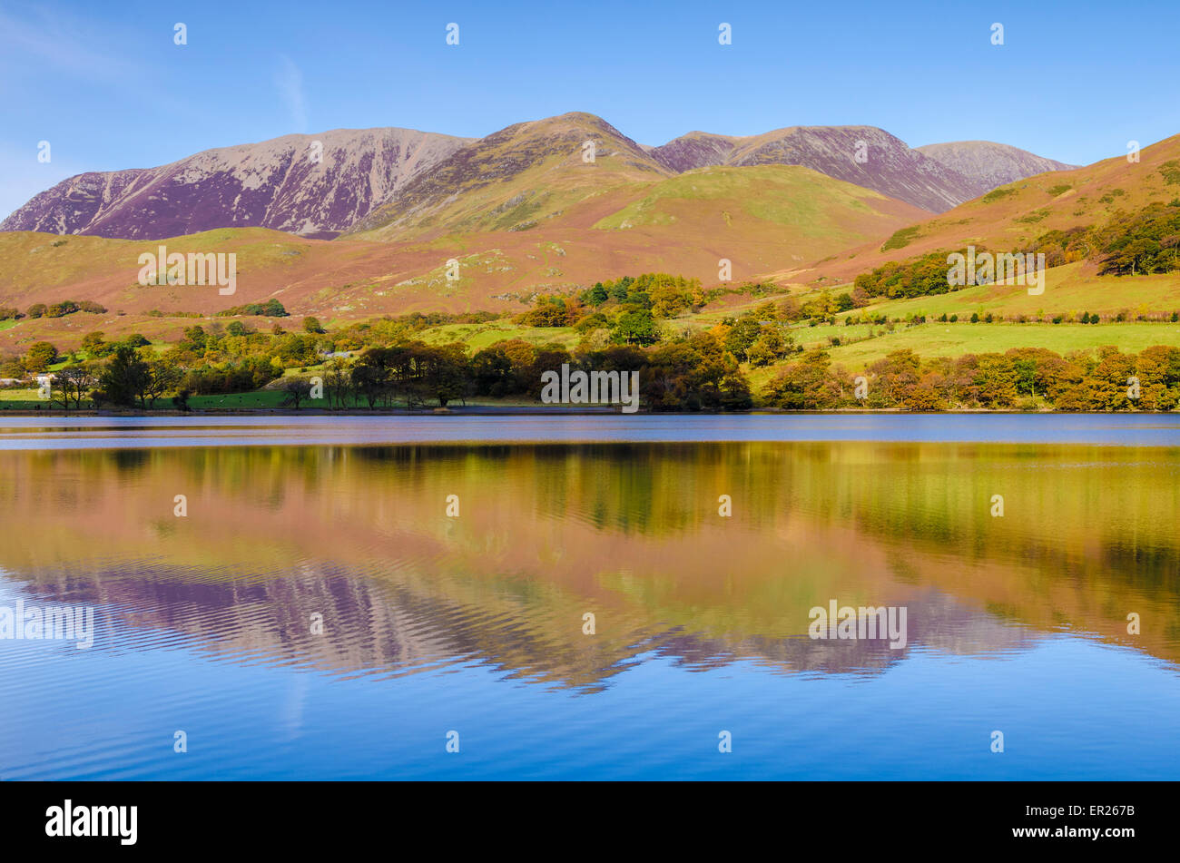 S Grasmoor reflète dans la hure. Lake District, Cumbria, Angleterre. Banque D'Images