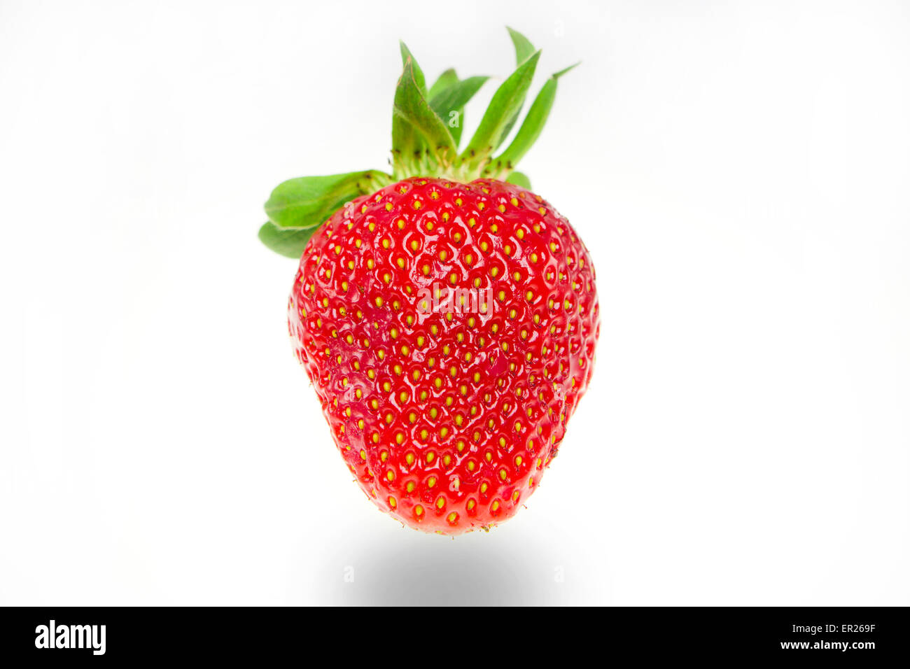 Fraise rouge biologique close-up et fond blanc Banque D'Images