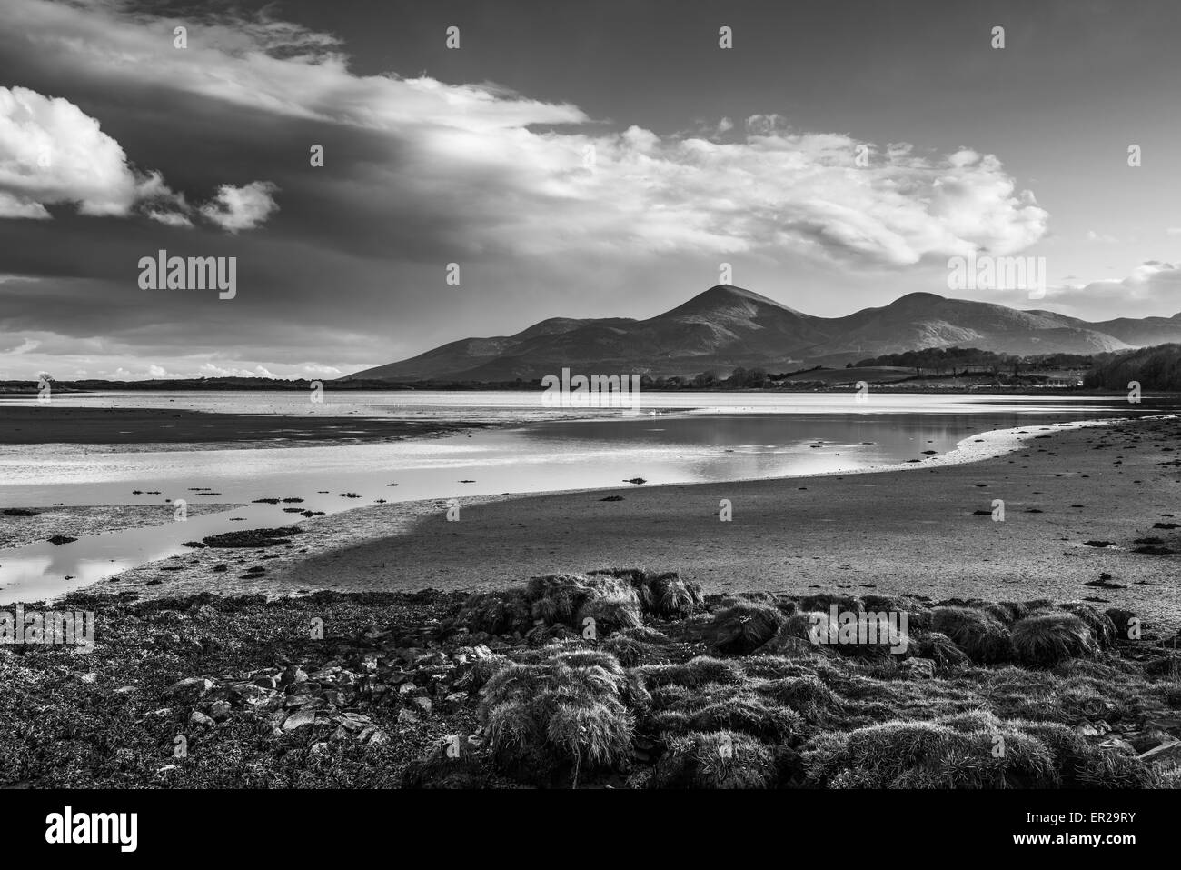 À partir de la baie de Dundrum Mourne Mountains Banque D'Images