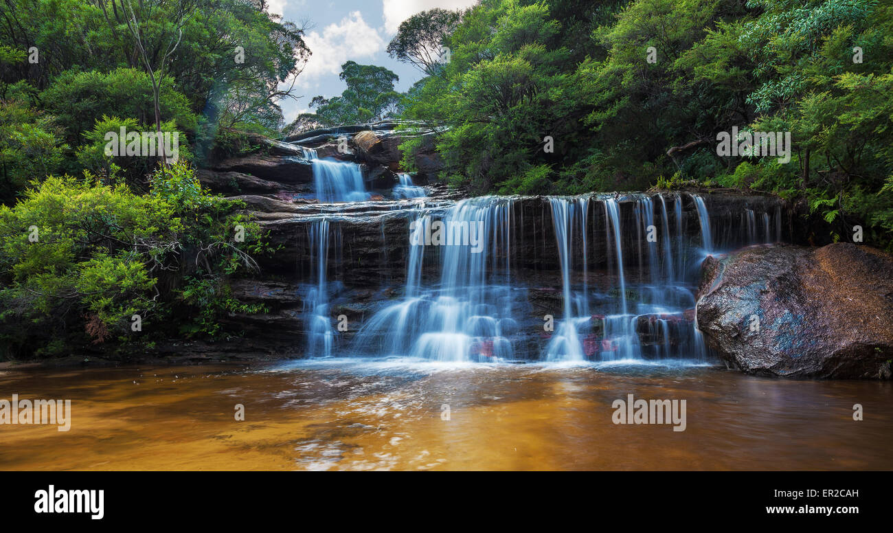 Wentworth falls, Blue Mountains, en partie supérieure de l'Australie. Banque D'Images