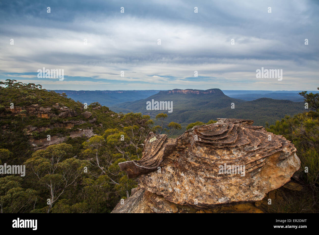 Formation rocheuse inhabituelle dans les Montagnes Bleues de l'Australie . Banque D'Images